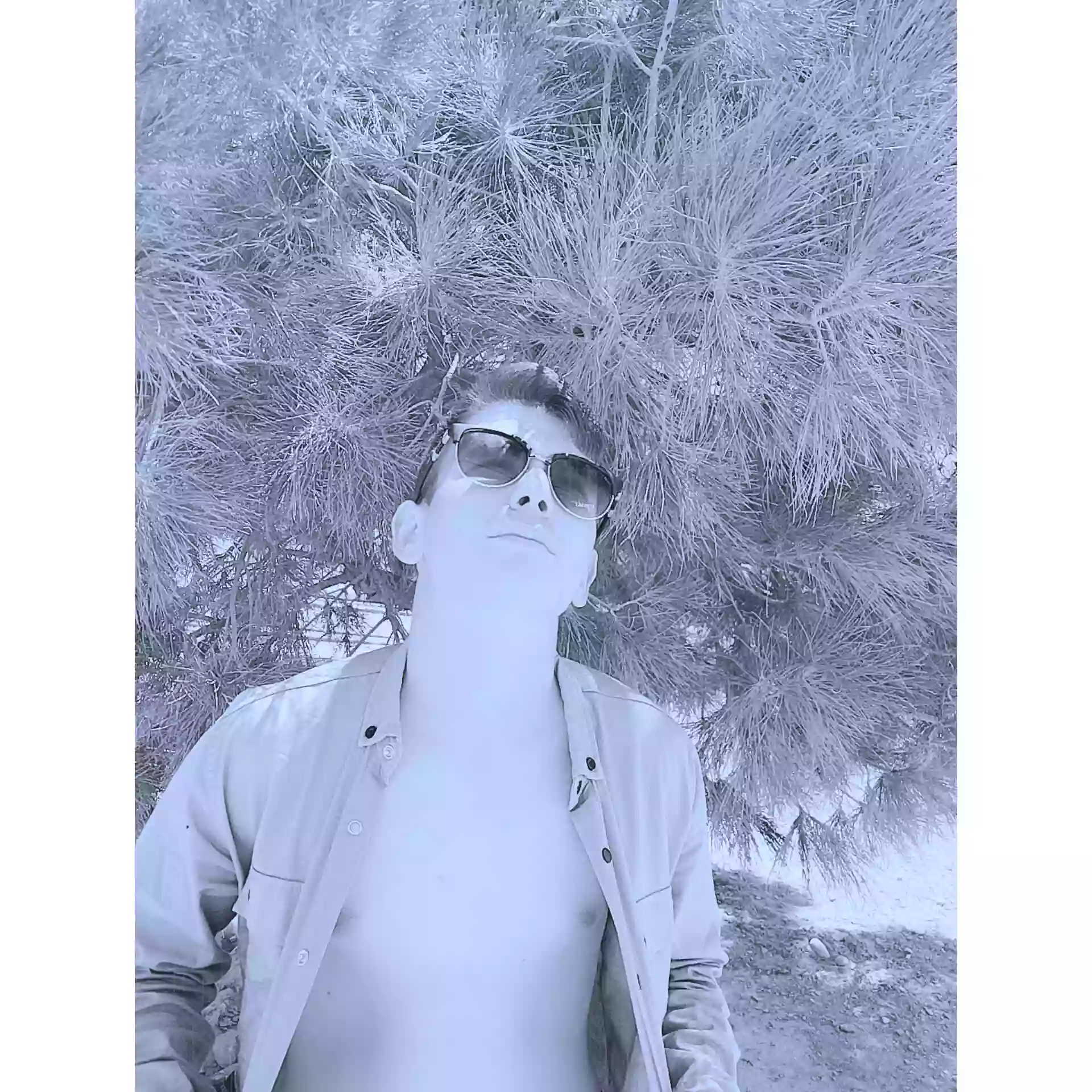 Ozganin Bilbili